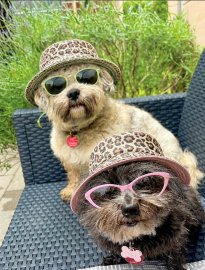 Schickt uns euer schönstes Sommer-Selfie - Bild 3