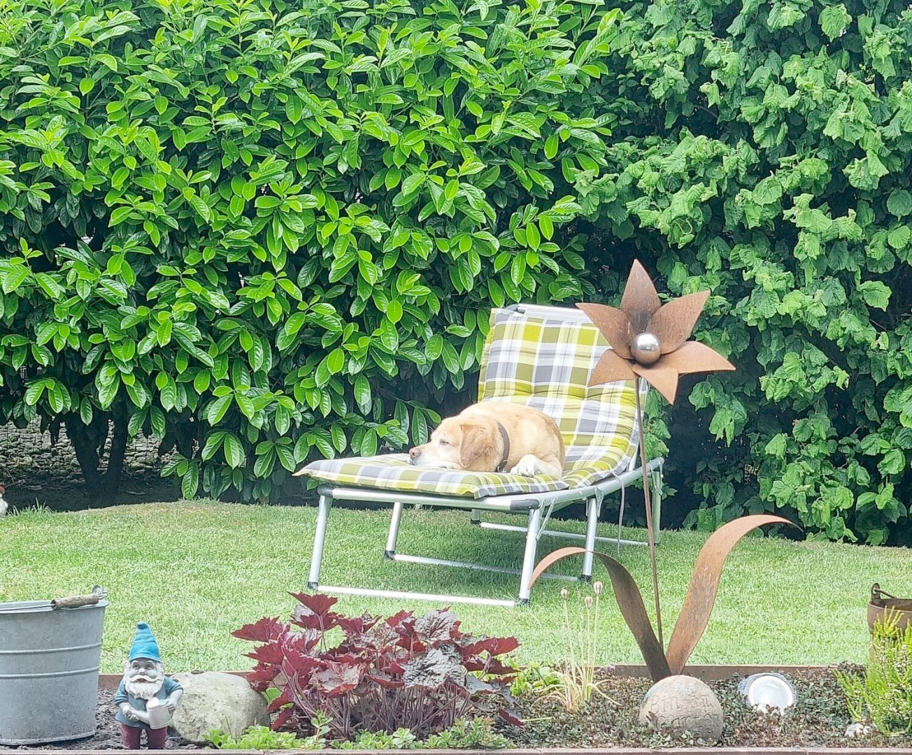 Schickt uns euer schönstes Sommer-Selfie - Bild 7
