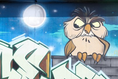 "Hit The Trog" - Die schönsten Fotos von Sonntag - Bild 56