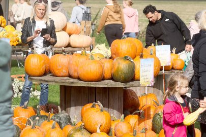 Kürbismarkt bei Albert Ohling lockt Hunderte - Bild 3