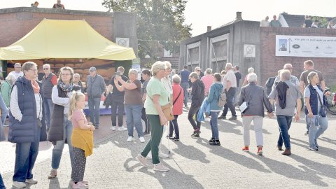 Fähre Ditzum - Pektum feiert 100-jähriges Bestehen - Bild 3