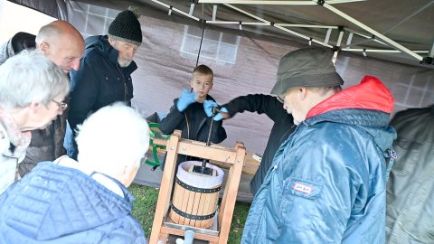Auch bei herbstlichem Wetter macht das Apfelfest in Campen Spaß - Bild 4