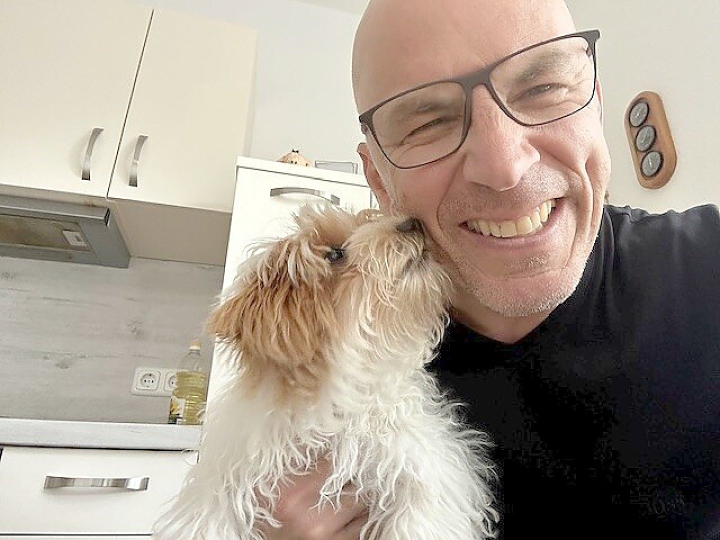 Die schönsten Hunde-Fotos aus Ostfriesland (Galerie II) - Bild 27