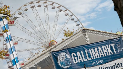 Der Aufbau vom Gallimarkt 2026 - Bild 4