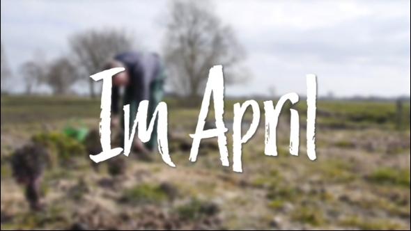 In d' Tuun: Im April