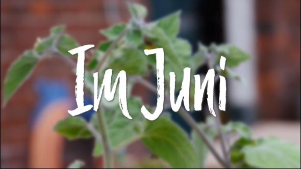 In d' Tuun: Im Juni