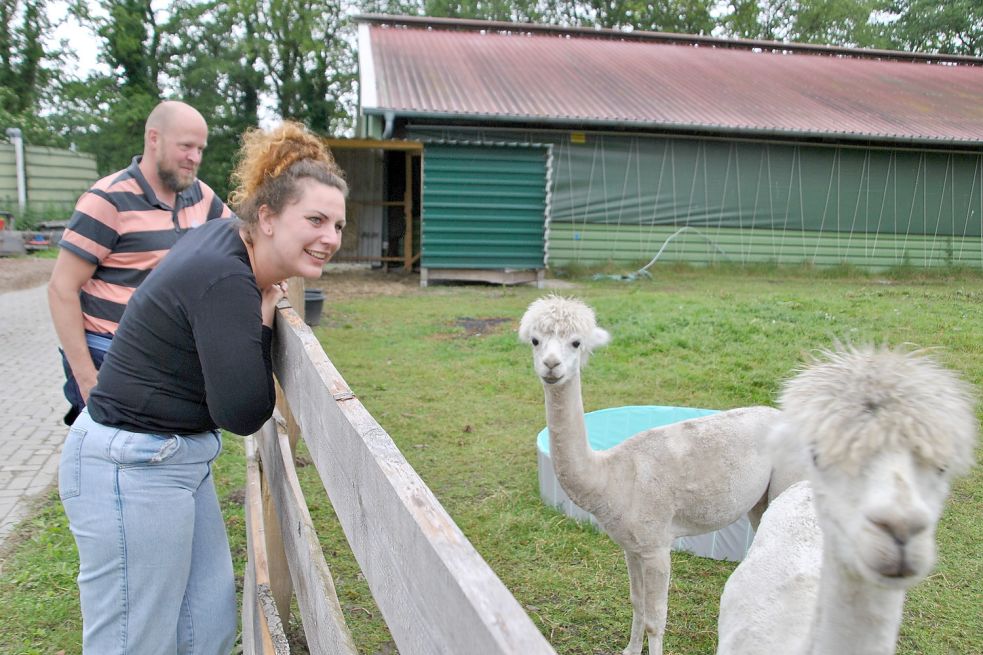 Karin und Gerd-Lüken Janßen mit den Alpakahengsten Manni (vorn) und Bruno. Foto: Schönig