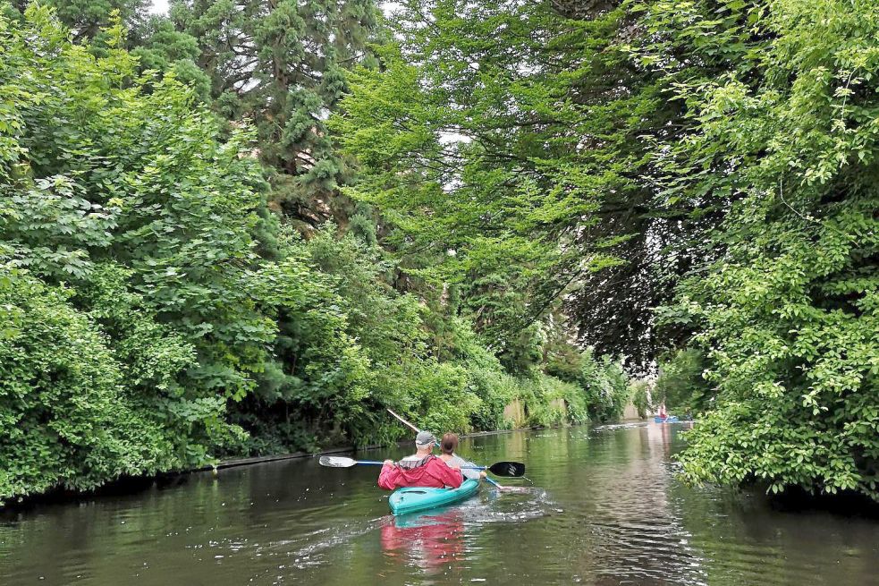 Der Uferbewuchs schafft ein grünes Idyll, die Einsicht aber ist erschwert. Foto: Hanssen