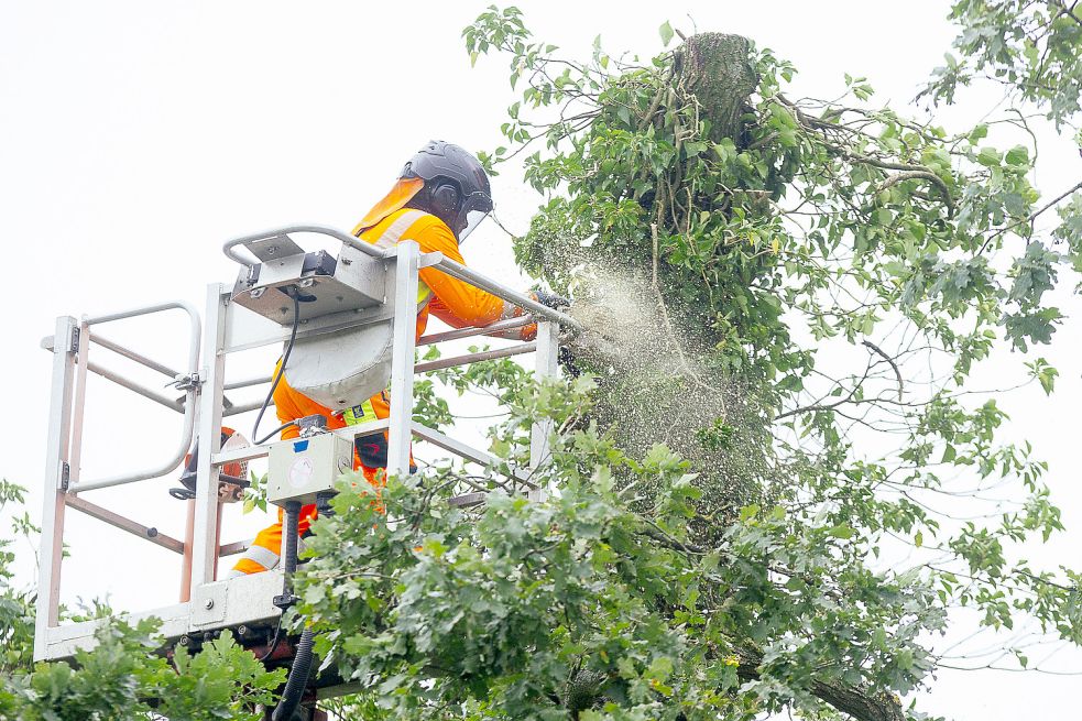 Nach dem Sturm kamen die Sägen. Bild: J. Doden