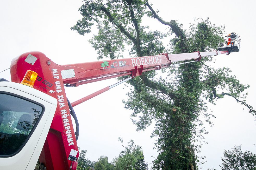 Mitarbeiter der Firma Boekhoff aus Filsum sind im Einsatz. Bild: J. Doden