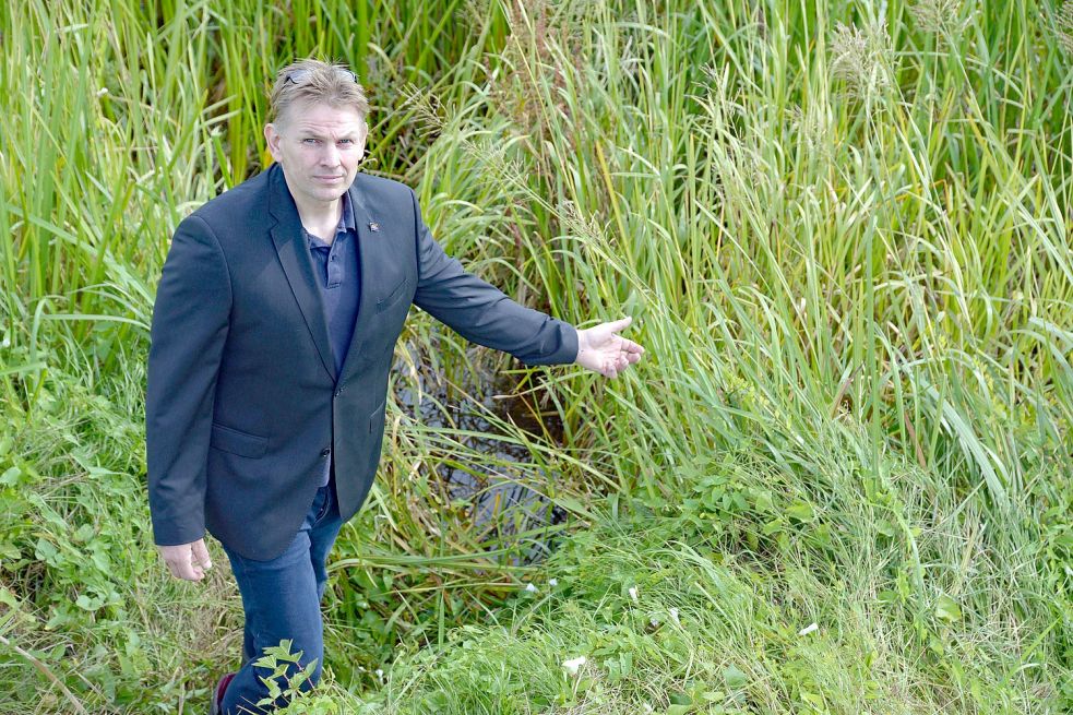 Wo viel Schilf wächst, wird das Überleben für Fische schwierig, sagt der Gewässerwart Torsten Bruns. Foto: Lüppen