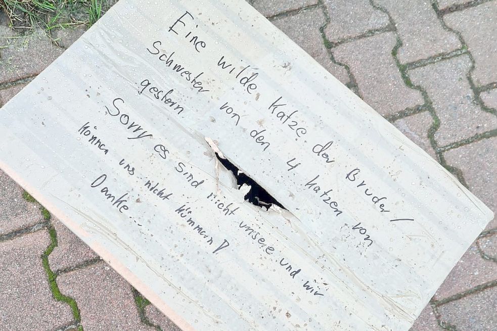 Am Donnerstag wurde erneut ein Karton mit dieser Info vorm Tierheim entdeckt. Von dem Kätzchen, das sich angeblich darin befunden haben soll, fehlt jede Spur. Foto: Gettkowski