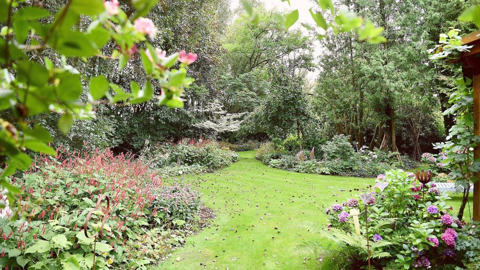 Grüne Wege führen durch den Staudengarten. Foto: Stromann