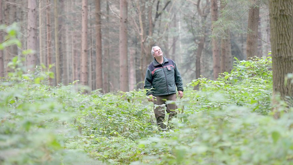 „Im Wald spielt oben die Musik“, sagt Bezirksförster Erich Delfs. Foto: Ortgies