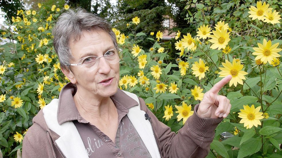 Hobbygärtnerin Renate Meinhard liebt im Oktober besonders die Kleinköpfige Sonnenblume „Lemon Queen“. Foto: ostfriesen.tv