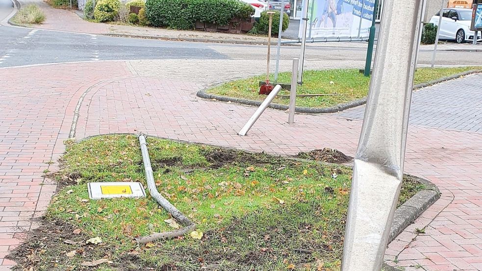 Der Fahrer richtete großen Schaden an. Foto: Polizei