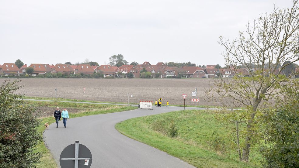 Der Blick vom Binnendeich auf die landwirtschaftliche Fläche, auf der die Kliniken entstehen sollen. Foto: Ullrich