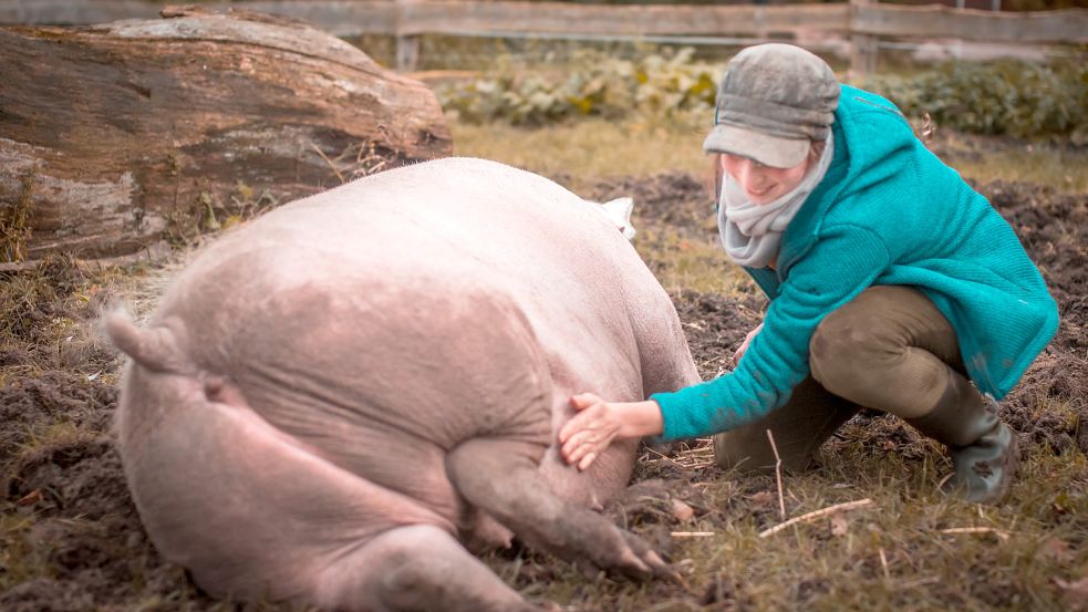 Rosalie liebt es, sich am Bauch kraulen zu lassen.