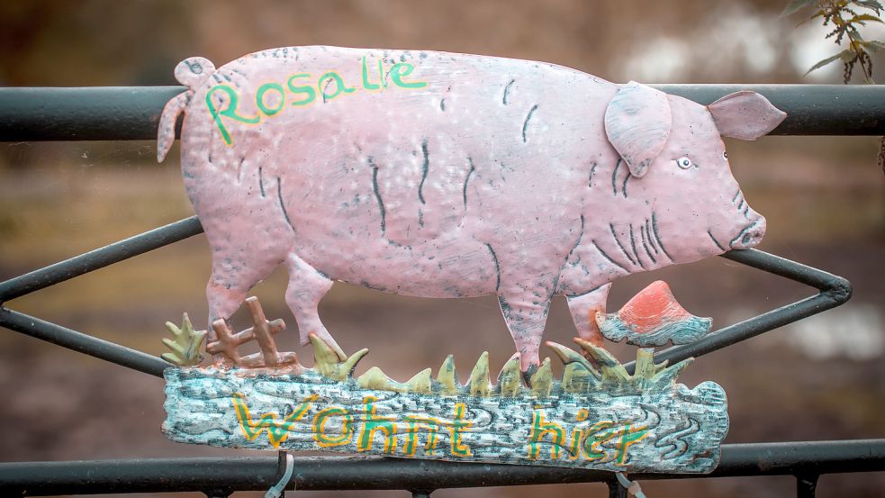 „Rosalie wohnt hier“: Ein handbemaltes Blechschild ziert den Eingang zum Gehege des Schweins.