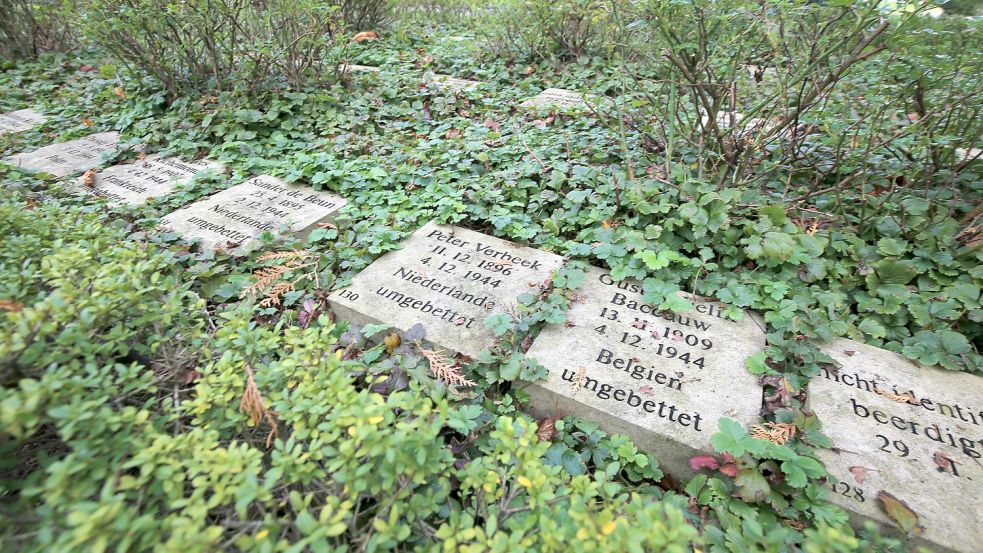 188 Gedenksteine erinnern an die Opfer in den zwei Monaten, die das KZ-Engerhafe bestand. Die Namen sind bekannt, aber 57 der Toten konnten sie nicht mehr zugeordnet werden. Foto: Böning