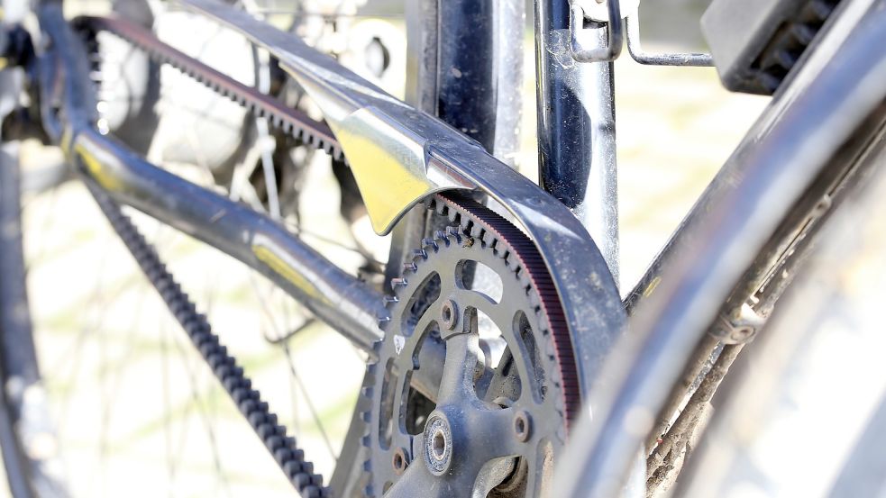 Beim Fahrrad hat Holger Kleene darauf geachtet, dass die Komponenten unempfindlich gegen Schmutz sind. Ein Zahnriemen ist relativ wartungsfrei und muss im Gegensatz zur Kette nicht geschmiert werden. Foto: Böning