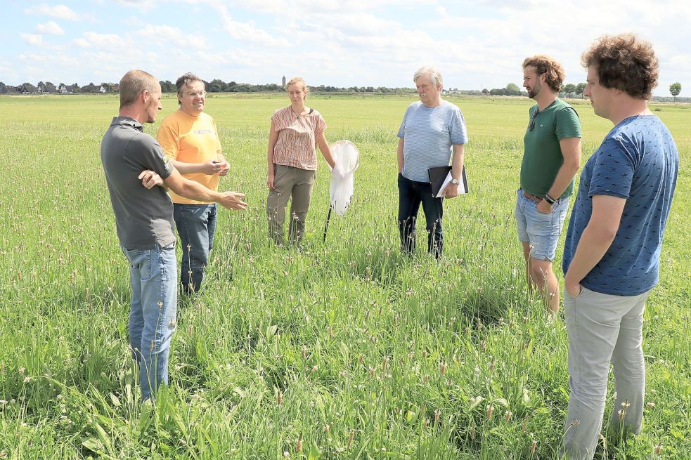 Im Projekt „Beespoke“ werden Blütenpflanzen in die Weidenbepflanzung integriert.