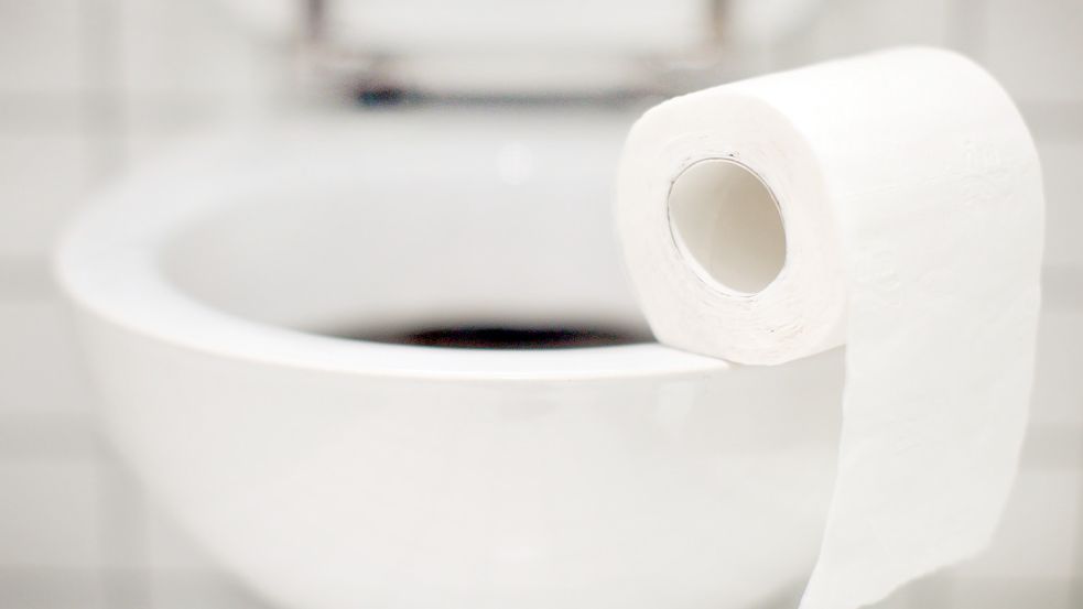 Klopapier ja, feuchtes Klopapier nein. Noch immer werfen die Menschen Dinge in die Toilette, die dort nicht reingehören. DPA-Symbolfoto: Gerten