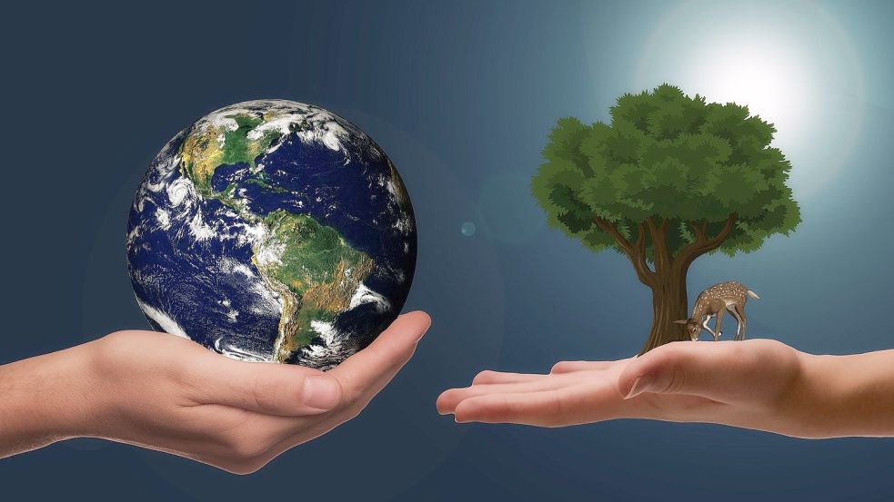 Umweltschützer betonen immer wieder, dass jeder zu einem besseren Klima beitragen kann, weshalb sie auch die Kommunen vor Ort in die Pflicht nehmen. Symbolbild: Pixabay