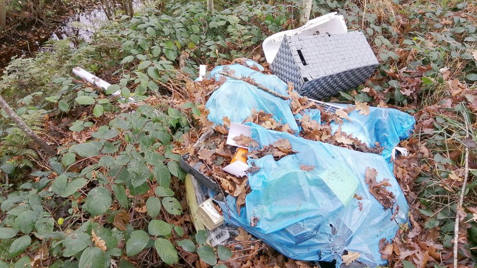 Dieses Foto von der illegalen Mülldeponie schickte Debora Wijngaarden als eine Art Hilferuf an die Redaktion. Foto: privat