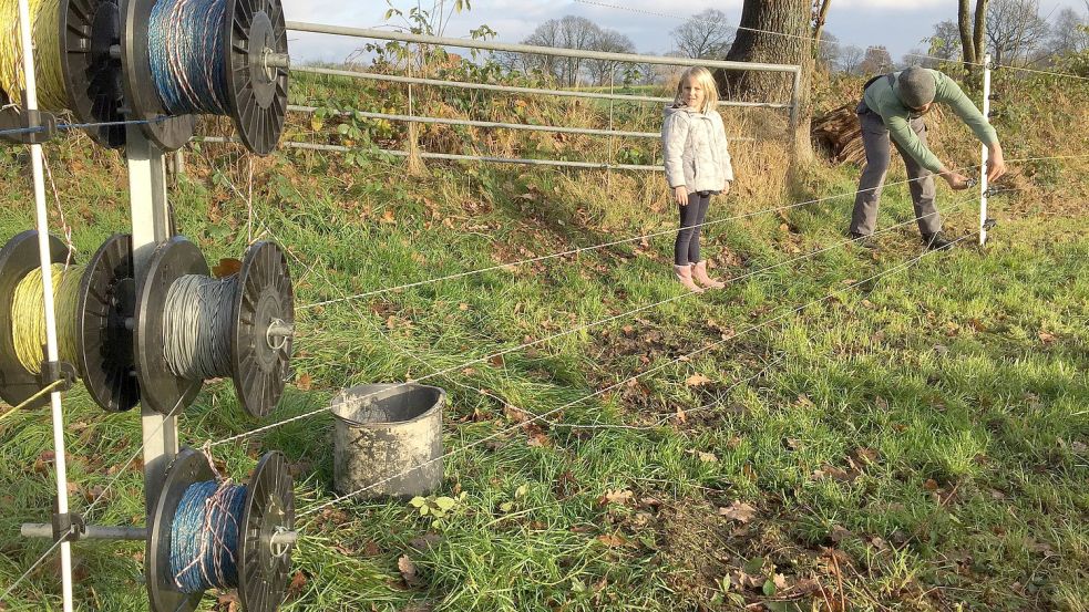Landwirt Hilmar Wolters kontrolliert hier die Torgriffe seines Elektrozaunes. Weil der Zaun fünf Stromlitzen hat, wird er auch mit fünf Torgriffen geschlossen. Foto: Schneider-Berents