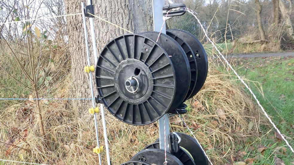 Rund 1,20 Meter hohe Elektrozäune gelten als wolfssicher. Das Land Niedersachsen unterstützt Landwirte finanziell, wenn diese eine solche Anschaffung tätigen wollen. Foto: Schneider-Berents