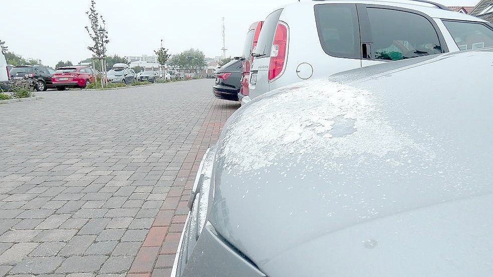 Auf den Fahrzeugen verklumpt das Mehl nach mehreren Tagen. Foto: Rümmele