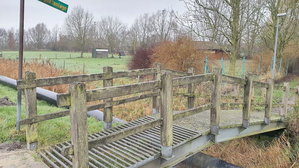 Ein Viehgitter auf der Brücke zum Sportzentrum verhindert, dass die am Deich weidenden Schafe die Brücke überqueren und ausbüxen. Foto: Gettkowski