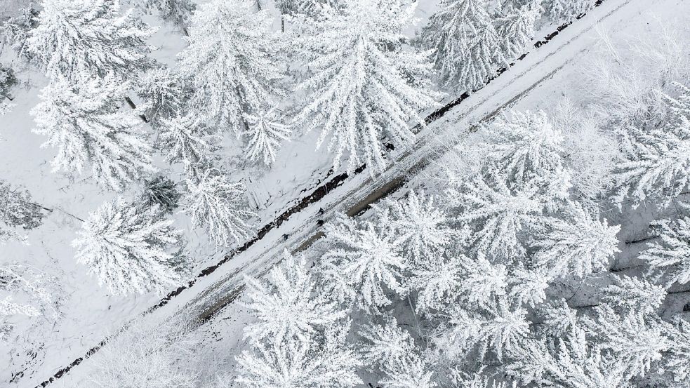 Vor allem in Teilen von Niedersachsen und Mecklenburg-Vorpommern stehen die Chancen auf weiße Weihnachten gut.