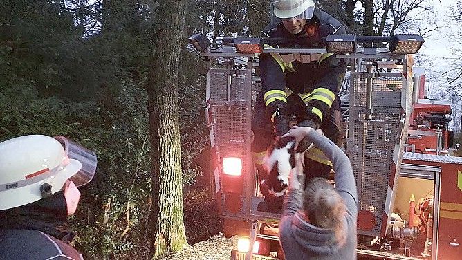 Peter Eilers bei Schlumpfis Übergabe. Kurze Zeit später wurden auch die Besitzer gefunden. Foto: Timo Köller