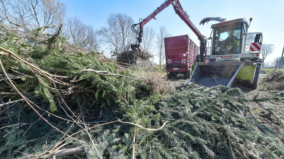 Vor zwei Jahren musste das Osterfeuer in Nortmoor wieder abgetragen werden. So weit sollte man es jetzt nicht kommen lassen, sagt die Kreisverwaltung. Foto: Ortgies/Archiv