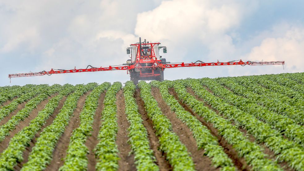 Ein Landwirt in Baden-Württemberg spritzt sein Kartoffelfeld gegen Kraut- und Knollenfäule. Mit der Ampel-Regierung soll es bald einen Kurswechsel auch in der Landwirtschaft geben. Foto: Warnack/DPA