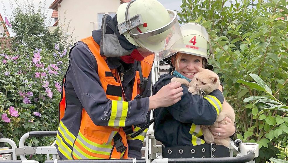 Wird eine Katze von der Feuerwehr aus dem Baum gerettet, kann es für die Besitzer teuer werden. Symbolfoto: Wiesbaden112/dpa