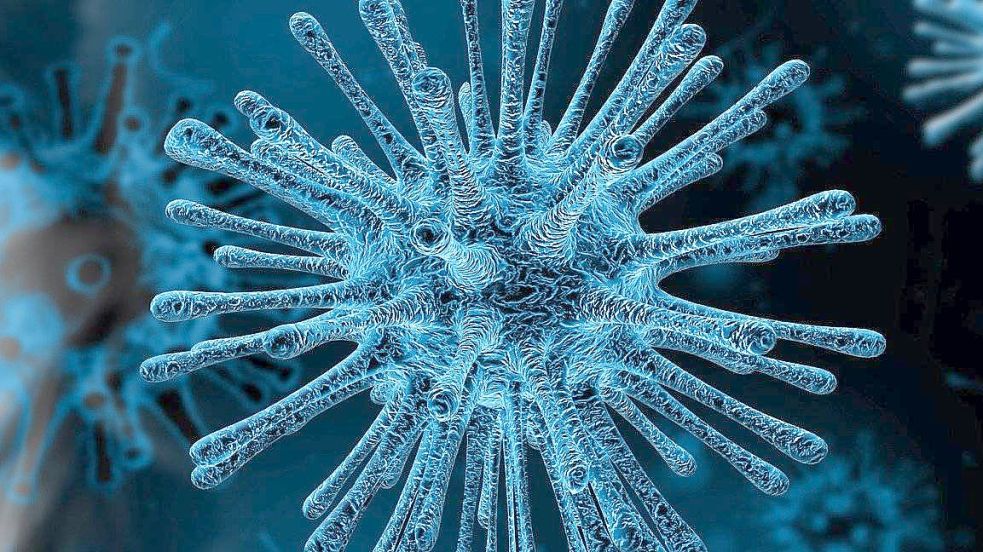 Das Coronavirus. Bild: Pixabay