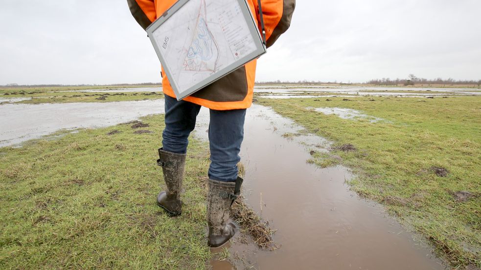 Heinrich Pegel auf der gestauten Wiese am Großen Meer in Südbrookmerland. Das Wasser soll noch höher steigen, wenn die ersten Wiesenbrüter kommen. Foto: Böning