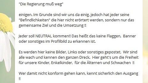 "Die Regierung muss weg": Mit diesen Worten machte Thor Werbung für die Gruppe "Vereinte Patrioten".