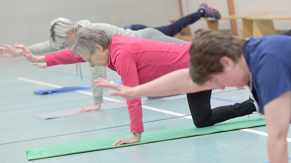 Mit Gesundheitssport möchten viele Erkrankte wieder fitter werden. Foto: Ortgies