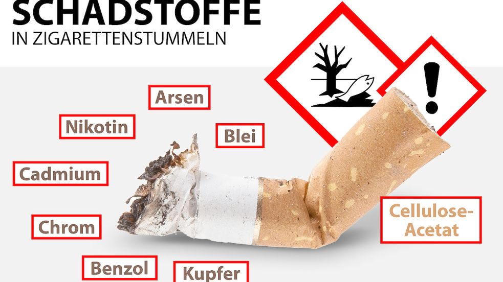 In Zigarettenstummeln sind schwere Schadstoffe enthalten. Regenwasser wäscht die Gifte aus dem Filter aus. So gelangen sie in Seen, Flüsse und Meere. Grafik: Fischer