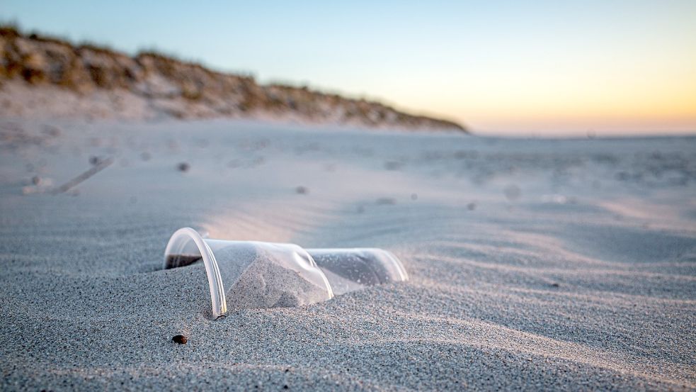 Auf Borkum sind Bürger am kommenden Sonnabend dazu aufgerufen, die Insel von Müll zu befreien. Foto: Pixabay