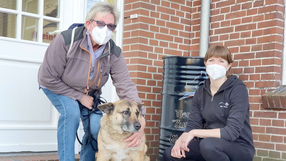 Roswitha Ullrich und ihre Hündin Farah statten Tierärztin Rita Börner in der Praxis in Holthusen einen Besuch ab. Das Tier hatte glücklicherweise aber kein Gift gefressen. Foto: Gettkowski