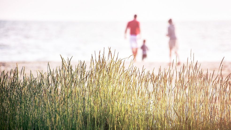 In vielen Familien werden die Pflegekinder wie die leiblichen eingebunden und angesehen.