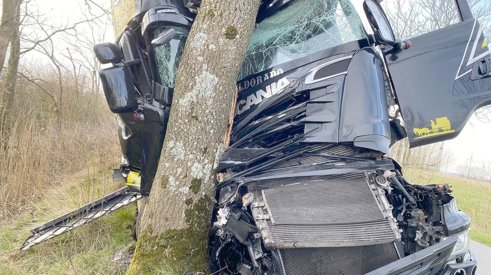 Ein Lastwagenfahrer kam in Dornum von der Fahrbahn ab und prallte gegen einen Baum. Foto: Siebels