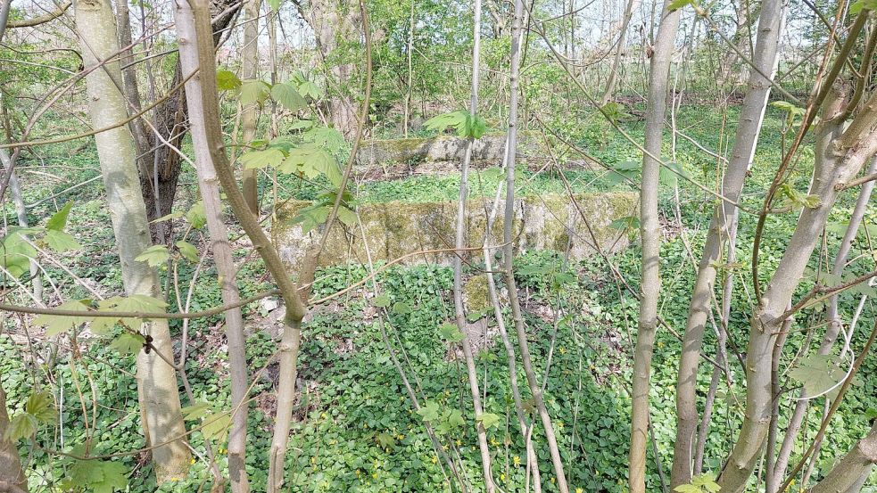 Man muss schon genauer hinschauen, um die Mauern vom Weg aus direkt zu erkennen.
