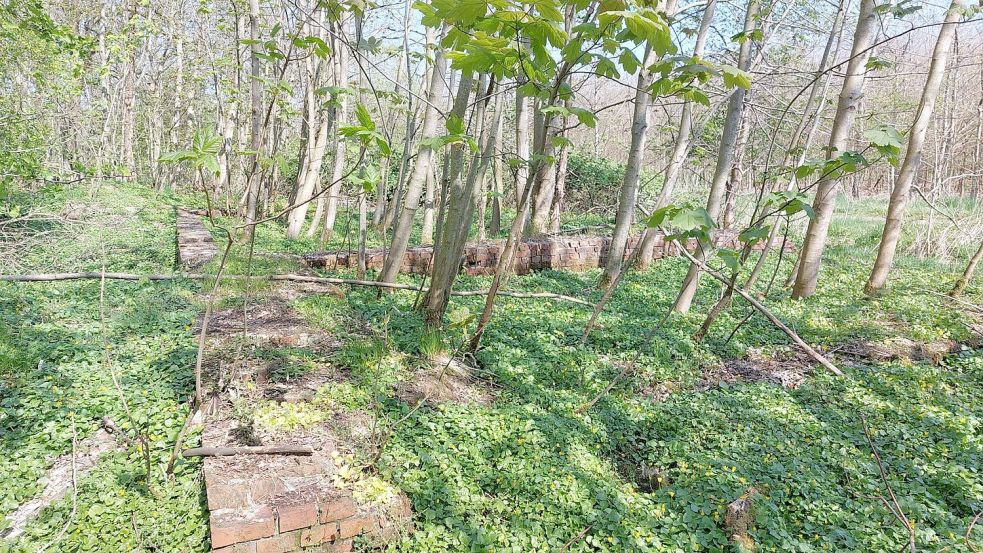 Zur Zeit des Zweiten Weltkriegs wurden Schießübungen in dem Bereich des heutigen Stadtwalds durchgeführt.