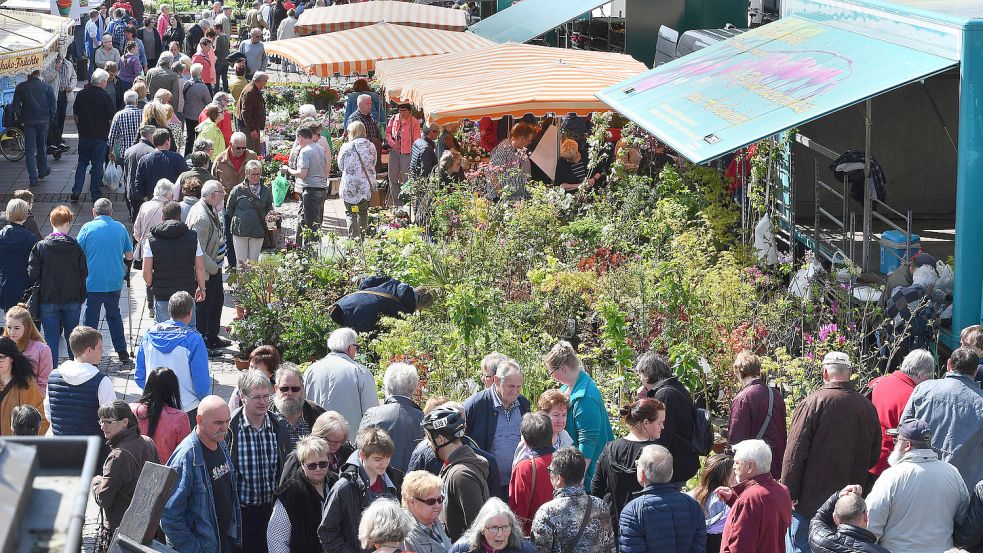 Der Geranienmarkt auf dem Auricher Marktplatz ist stets gut besucht. Foto: Archiv/Ortgies